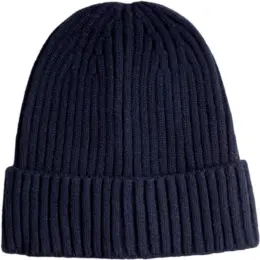 FWRD Glacier Ribbed Beanie Navy
